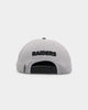 Pro Standard Las Vegas Raiders Old English Wool Snapback Grey