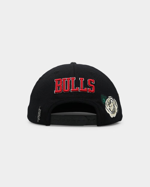 Pro Standard Chicago Bulls Roses Snapback Black