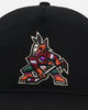 47 Brand Arizona Coyotes Mesh '47 Hitch Trucker Snapback Black/Team