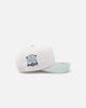 New Era Houston Astros 'Sea Glass' 9FORTY A-Frame Snapback Stone/Green