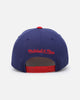 Mitchell & Ness Memphis Grizzlies 'College Twist' Pro Crown Snapback Blue/Red