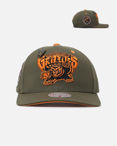 Mitchell & Ness Vancouver Grizzlies 'Harmony Of Hues' Pro Crown