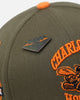 Mitchell & Ness Charlotte Hornets 'Harmony of Hues' Pro Crown Snapback Olive/Orange