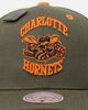 Mitchell & Ness Charlotte Hornets 'Harmony of Hues' Pro Crown Snapback Olive/Orange