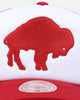 Mitchell & Ness Buffalo Bills Team Foam Trucker Snapback Red/White