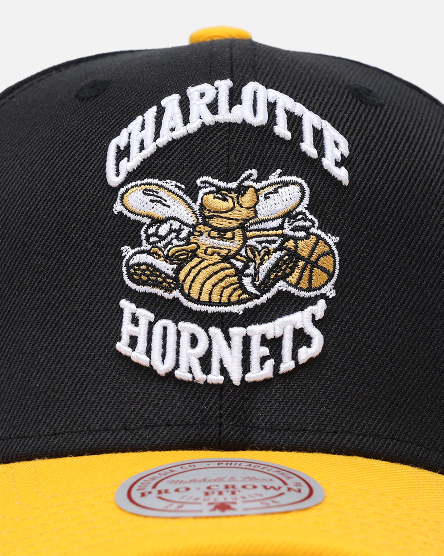 チームホッタテ Mitchell & Ness Charlotte Hornets 