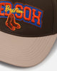 Pro Standard Boston Red Sox Stacked Strapback Brown