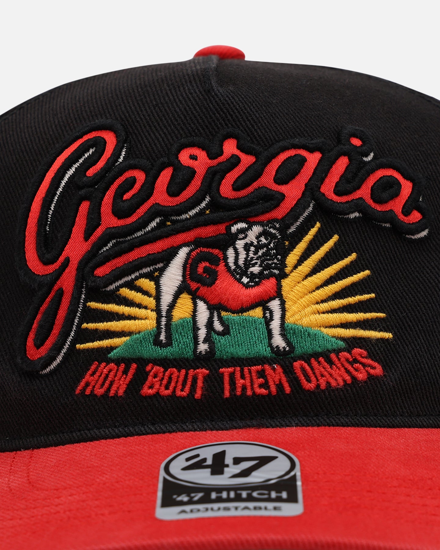 47 Brand Georgia Bulldogs 'NCAA Trophy Case' Premium Hitch