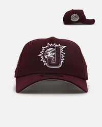 New Era Hagerstown Suns 'Minor League Maroon' 9FORTY A-Frame Snapback Maroon