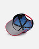 New Era Mexico National Baseball Team 'Mexico Spring Delivery' 9FORTY A-Frame Snapback Sky Blue