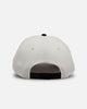 New Era Miami Dolphins 'Chrome Black' 9FORTY A-Frame Snapback Chrome/Black