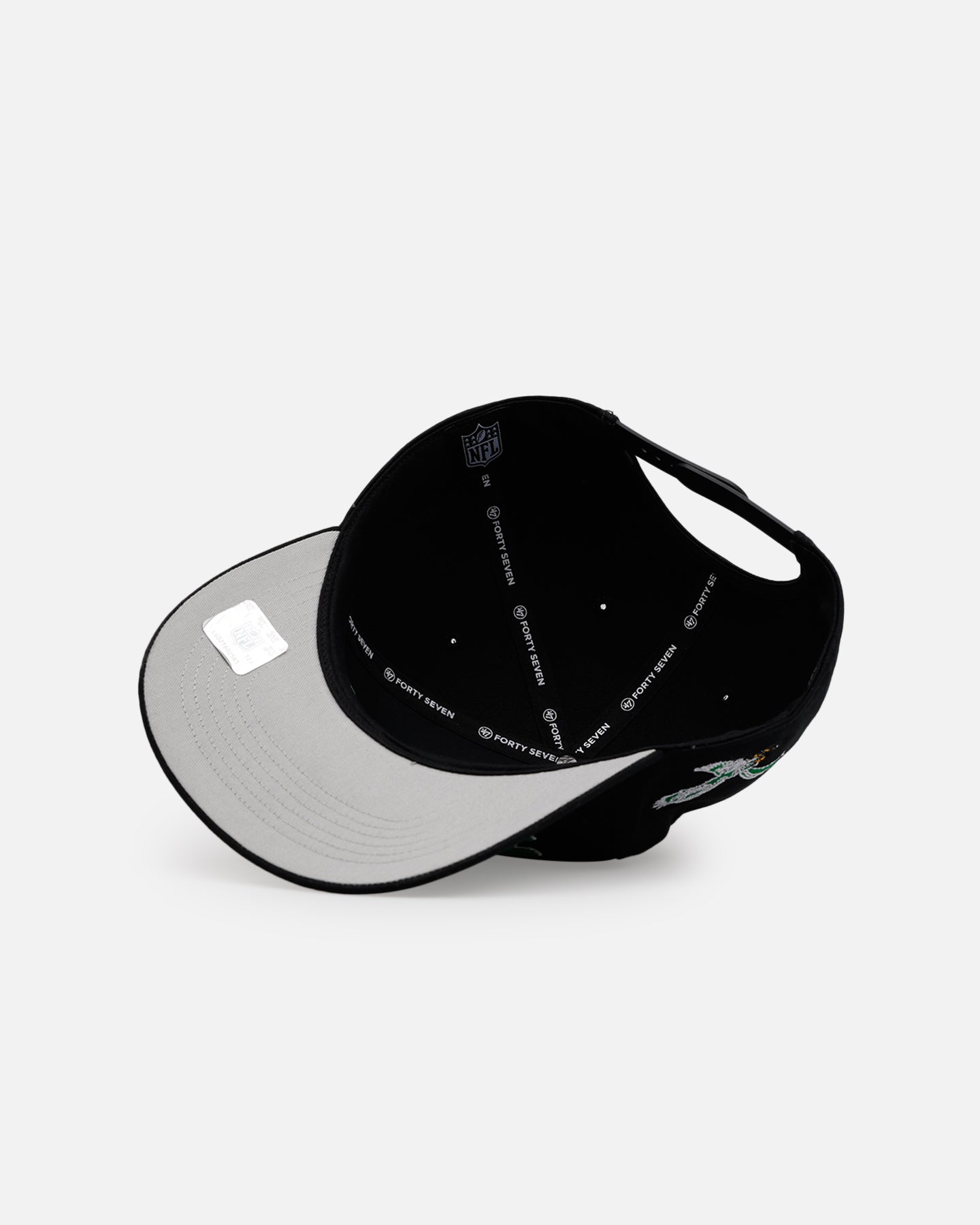 47 Brand Philadelphia Eagles 'Black Dome Script' 47 Hitch Snapback