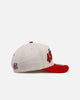 Mitchell & Ness San Francisco 49ers 'Vintage NFL' MVP Snapback Natural