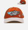 Jeff Hamilton X Star Wars Rebels Snapback Brown