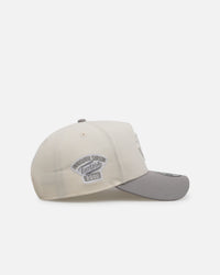 New Era Minnesota Twins 'Too Clean' 9FORTY A-Frame Snapback Chrome
