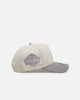 New Era Washington Nationals 'Too Clean' 9FORTY A-Frame Snapback Chrome