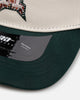 Pro Standard Houston Astros 'Tapestry 2.0' Pinch Front Strapback Dark Green