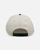 New Era Boston Red Sox 'Evergreen' 9FORTY A-Frame Snapback Chrome/Dark Green