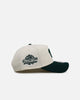 New Era Washington Nationals 'Evergreen' 9FORTY A-Frame Snapback Chrome/Dark Green