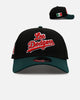 New Era Los Angeles Dodgers 'Mexican Independence Day 2.0' 9FORTY A-Frame Snapback Black/Green