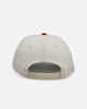 New Era Chicago Bulls 'Strawberry' 9FORTY A-Frame Snapback Chrome/Red