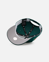 New Era Detroit Tigers 'Citrus 2.0' 9FORTY A-Frame Snapback Dark Green/Orange