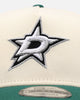New Era Dallas Stars 'Team Color Visor' 9FORTY A-Frame Snapback Chrome/Official Team Color