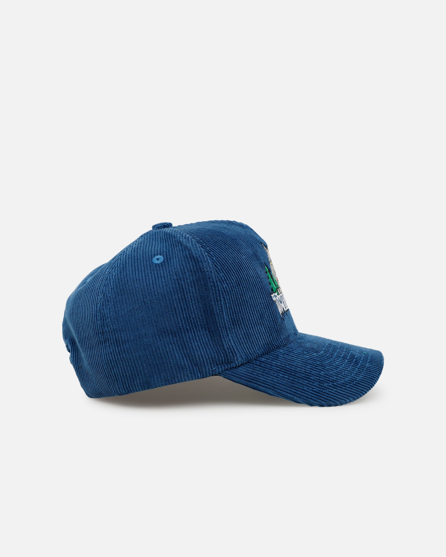 Mitchell & Ness Minnesota Timberwolves 'Vintage Cord' Pro Pinch