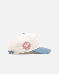 Pro Standard Houston Astros 'Tapestry' Pinch Front Strapback Natural