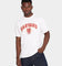 NATIONAL COLLEGIATE ATHLETIC ASSC Harvard University Team Arch Logo Vintage T-Shirt Vintage White