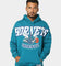Mitchell & Ness Charlotte Hornets XL Arch Hood Faded Teal