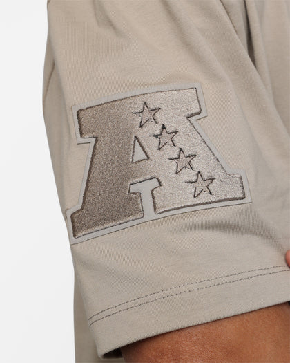 Pro Standard Las Vegas Raiders Neutral T-Shirt Taupe