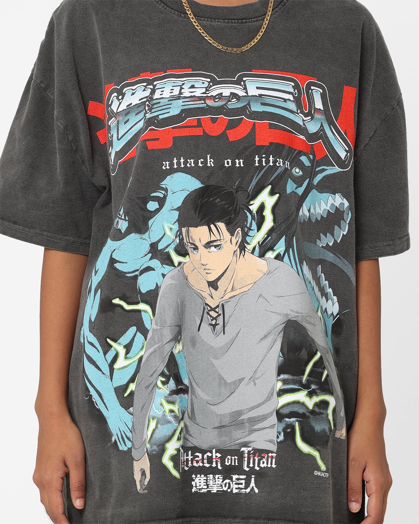 Goat Crew X Attack On Titan Attack Titan Vintage Heavyweight T