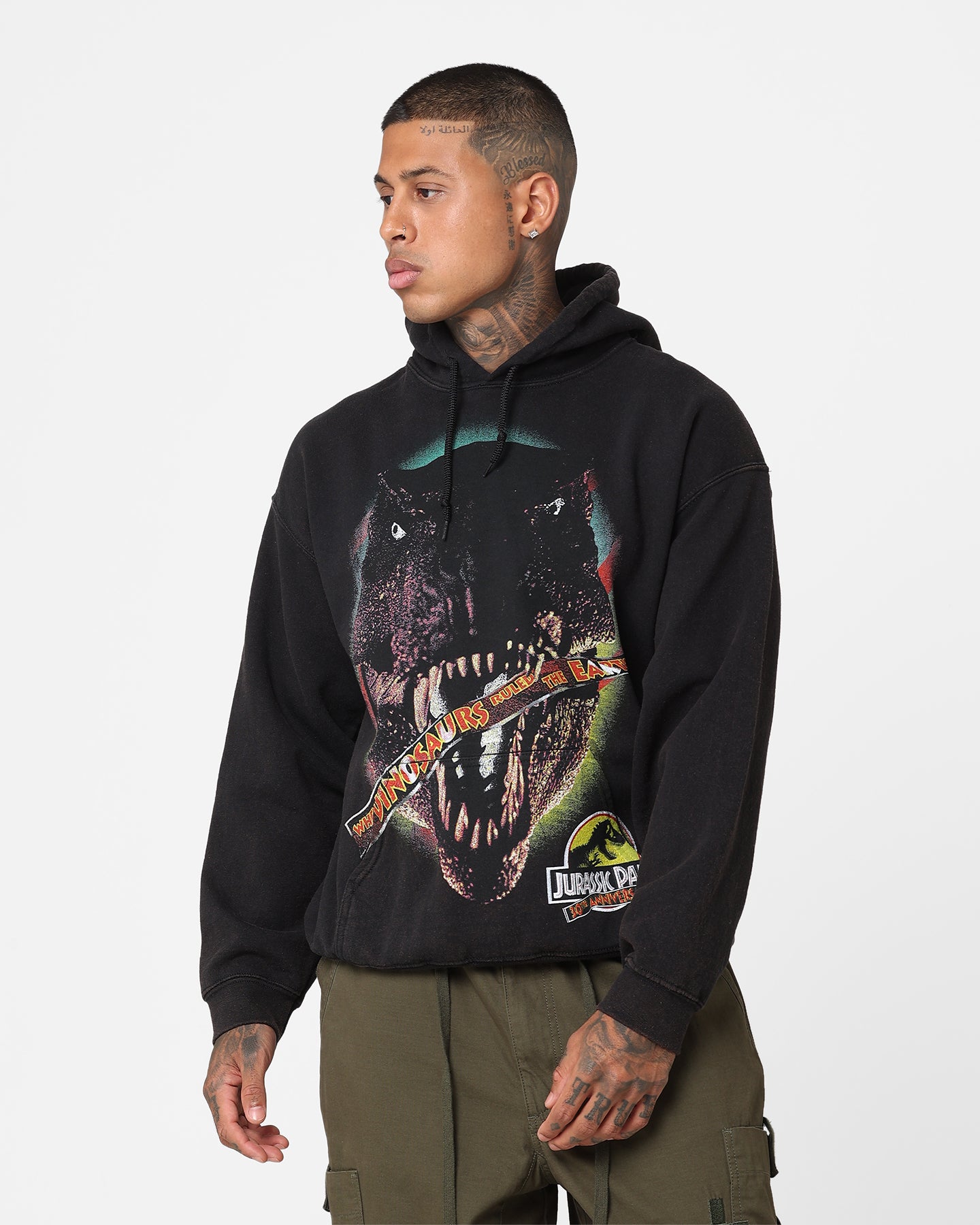 JURASSIC CUP 2025 PREMIUM HOODIE Lサイズ Jurassic Park Men's and Big Men's Jurassic World Rebirth Graphic