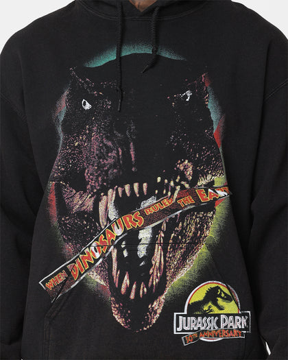 Jurassic Park Sweatshirt Logo Vintage Distressed - Officiel Et Confortable Pour Fans Du Film