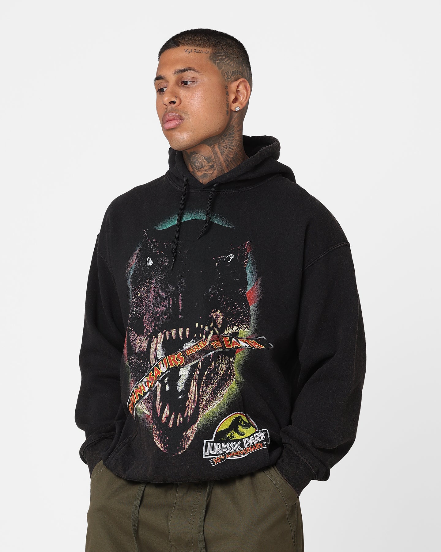 American Thrift X Jurassic Park 30th Anniversary Hoodie Black Wash