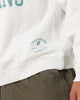 Mitchell & Ness Miami Dolphins Ivy Arch Crewneck White Marle