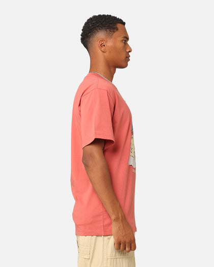 Market Making The Grade Bear T-Shirt Berry