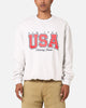 Tommy Jeans TJU Archive Games Team USA Crewneck Silver Grey Heather