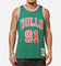Mitchell & Ness Chicago Bulls Dennis Rodman 'Viva Mexico' '96-97 Swing Jersey Green/Red