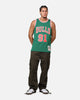 Mitchell & Ness Chicago Bulls Dennis Rodman 'Viva Mexico' '96-97 Swing Jersey Green/Red
