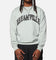Dreamville Stars Crewneck Storm
