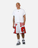 Mitchell & Ness Chicago Bulls Dennis Rodman Maxxed Out Shorts White/Red