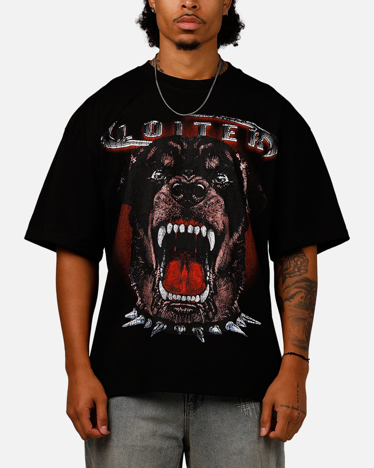 Loiter Dog House Vintage T-Shirt Black | Culture Kings US