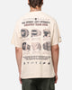 Mitchell & Ness Chicago Bulls Greatest Team T-Shirt Pink