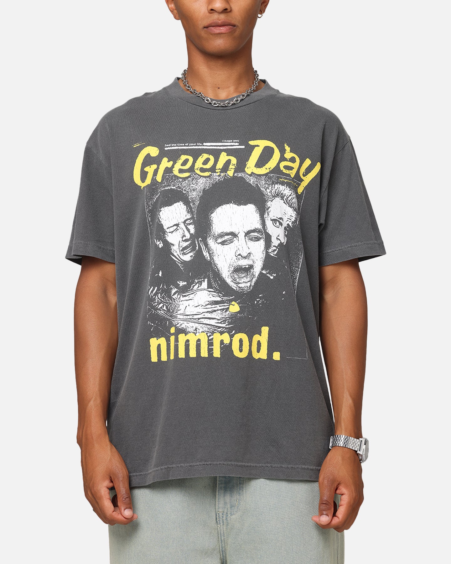 Green Day Nimrod Vintage T-Shirt Faded Black | Culture Kings US