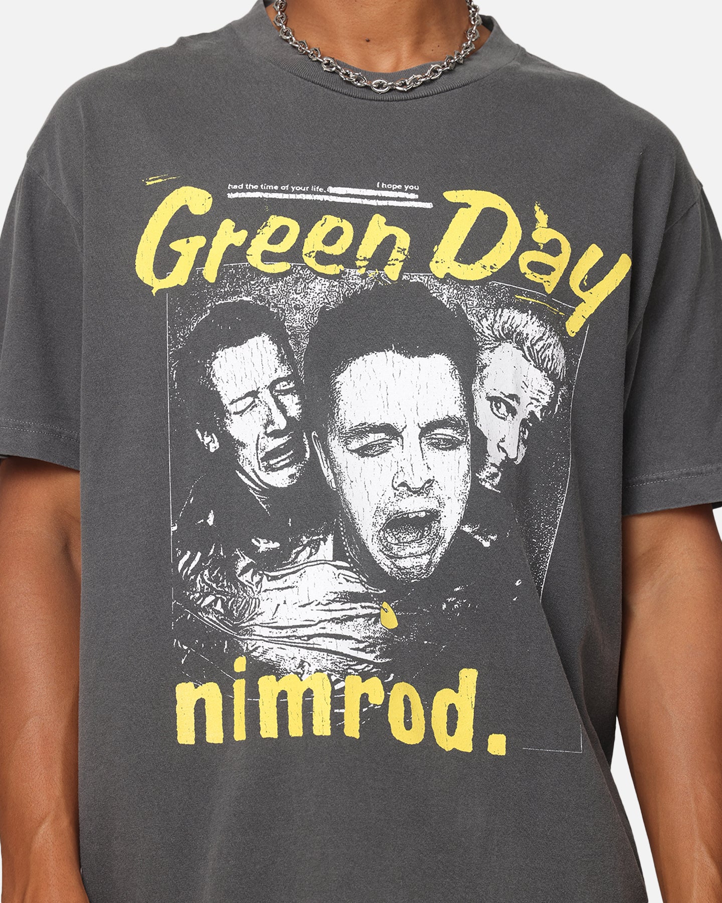 Green Day Nimrod Vintage T-Shirt Faded Black | Culture Kings US