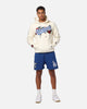 Pro Standard Los Angeles Dodgers Roses Pullover Hoodie Eggshell