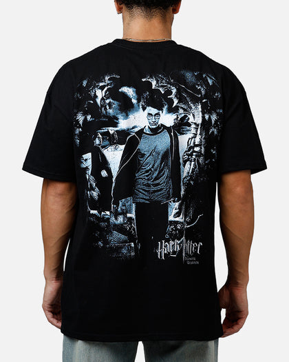 Goat Crew X Harry Potter Poster Vintage T-Shirt Black Acidwash
