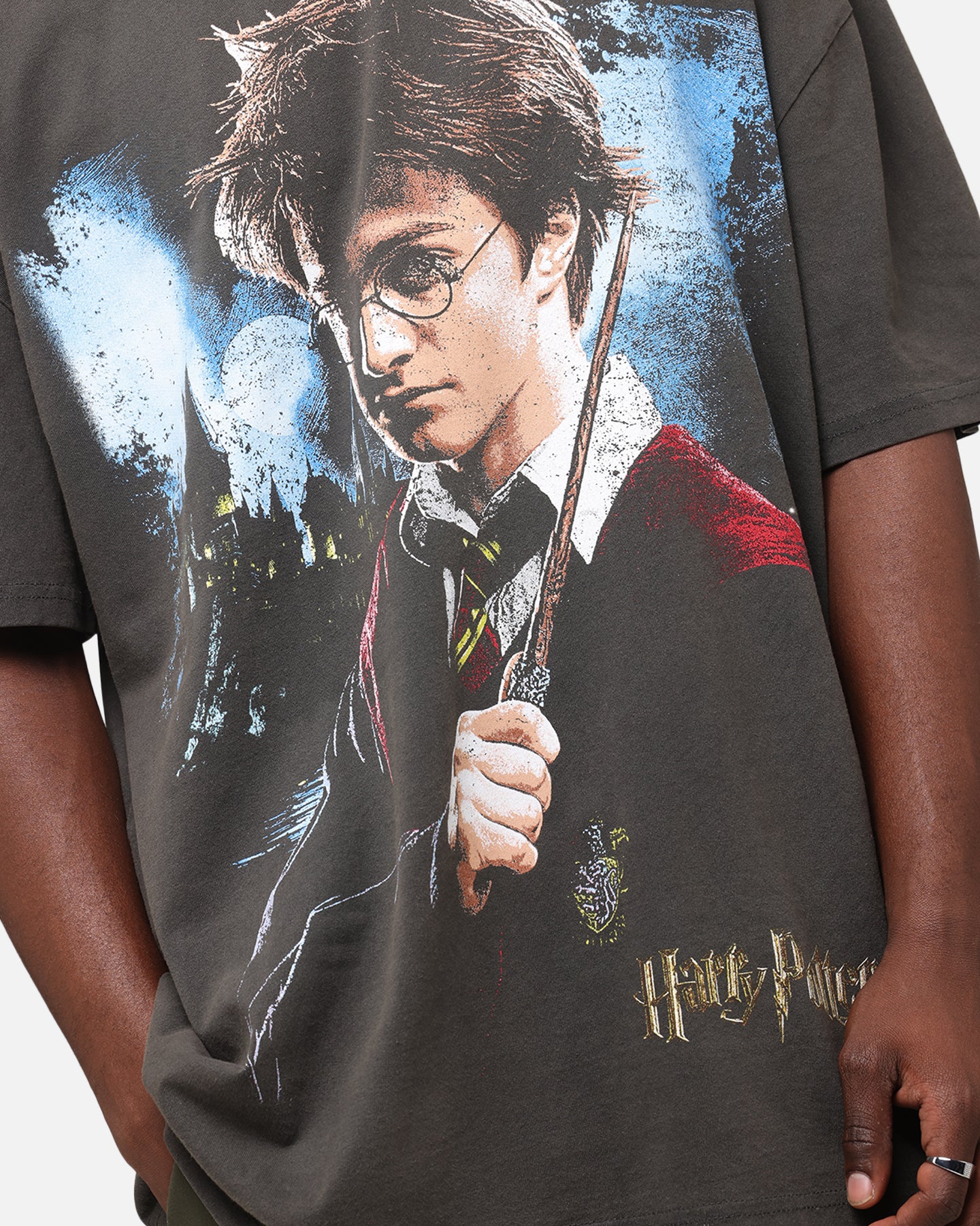 Goat Crew X Harry Potter Heavy T-Shirt Black Wash | Culture Kings US